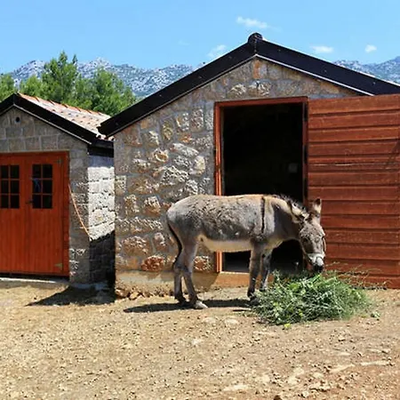 Apartment Stone House Magarac